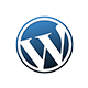 wordpress themes development india